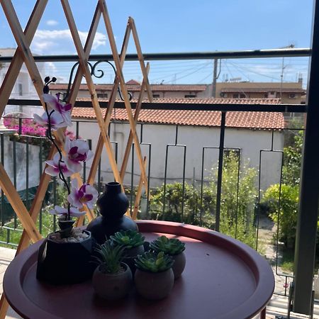 Aurelia Seaside Apartment Kávos Dış mekan fotoğraf