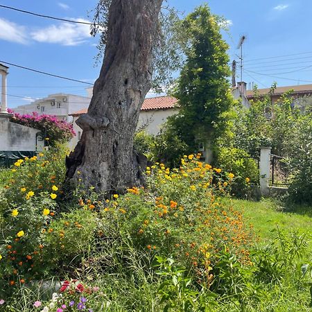 Aurelia Seaside Apartment Kávos Dış mekan fotoğraf